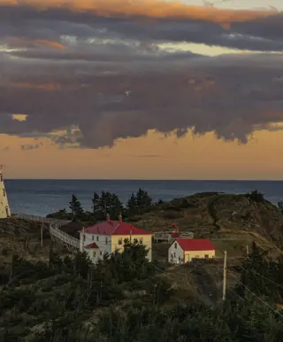 Beobachte Wale von Grand Manan Island